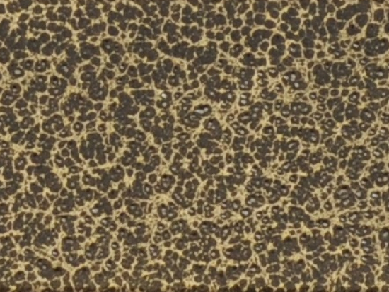 409